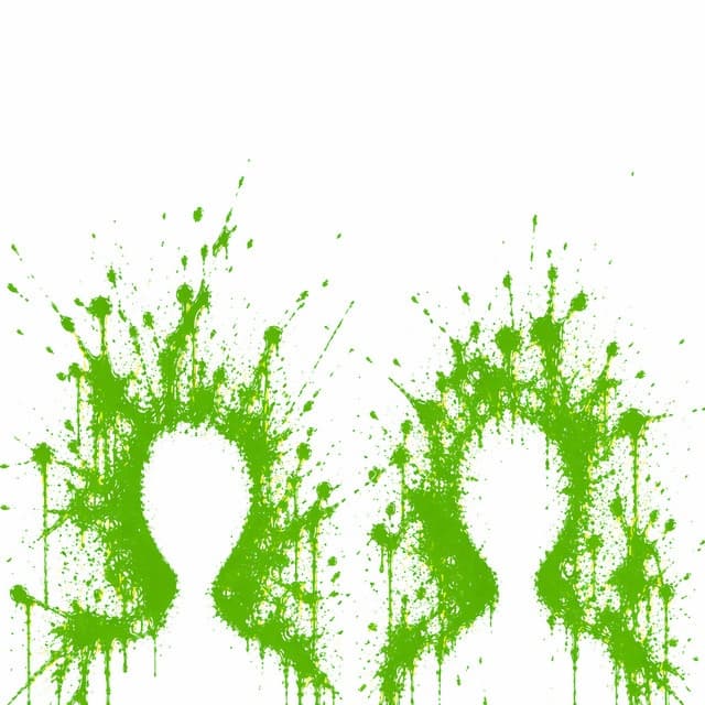 twin cover art